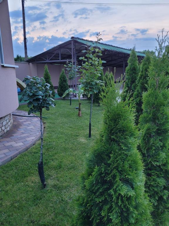 Zahrada ubytování Anda vendégház