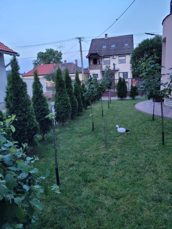 Zahrada ubytování Anda vendégház