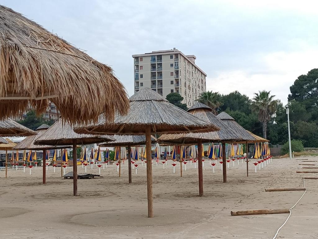 - un groupe de parasols en paille sur une plage dans l'établissement Dimora Sul Mare, à Montesilvano