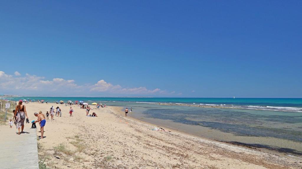 Príroda v okolí apartmánu