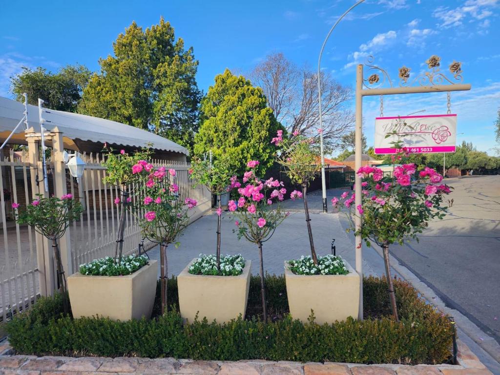 Jardin de l'établissement Villa Rose Cottages