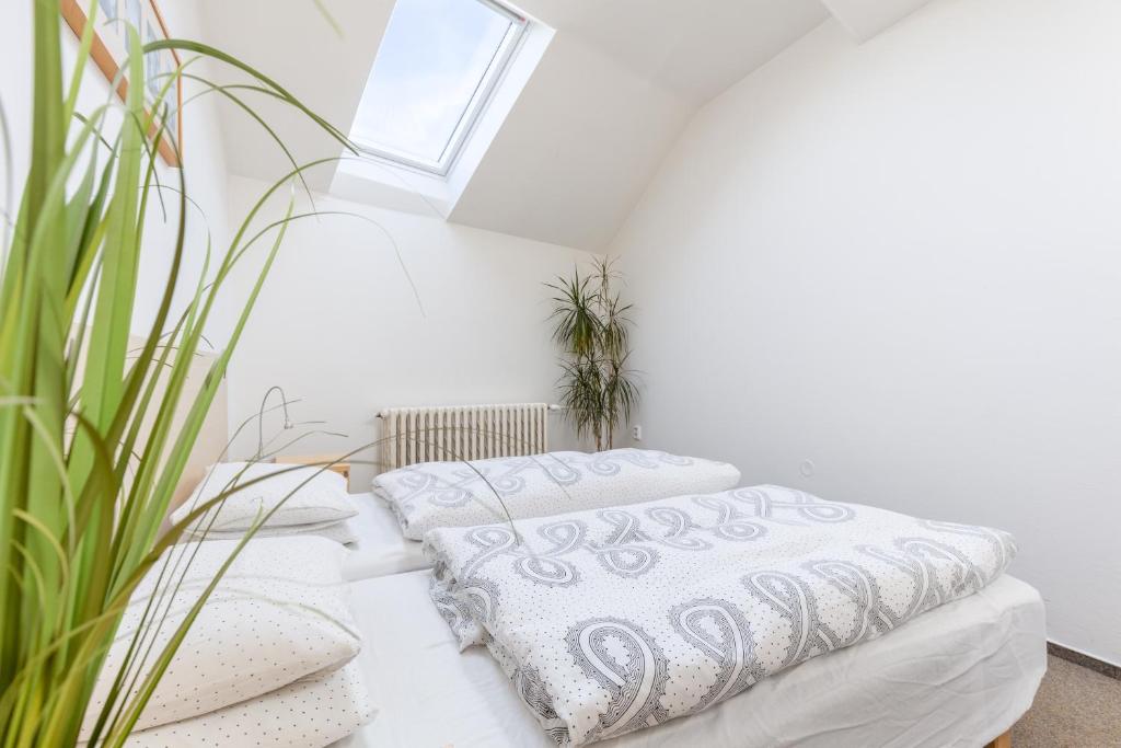 Apartmány Rozárka Turnov - 7