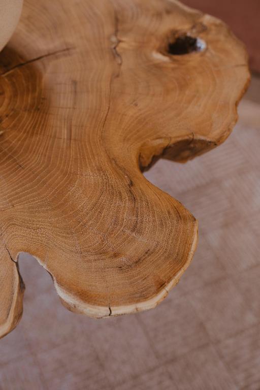 Domki Przystań Spławy - 16