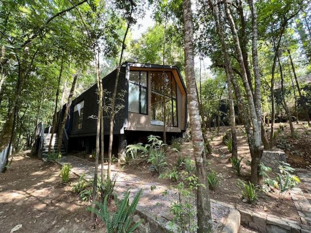 ein Baumhaus mitten im Wald in der Unterkunft Casa Nórdica en el Bosque in Cerro Gordo