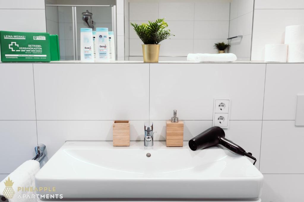 PINEAPPLE APARTMENTS - Altstadt III - 91qm - 1x free parking - 13