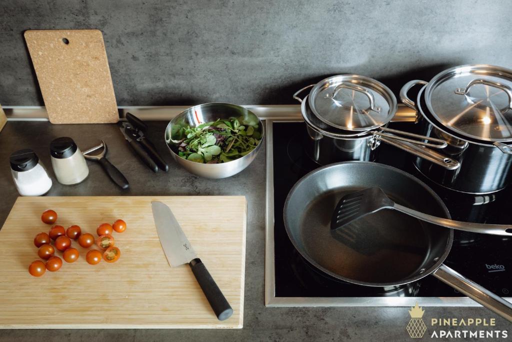 PINEAPPLE APARTMENTS - Altstadt III - 91qm - 1x free parking - 15