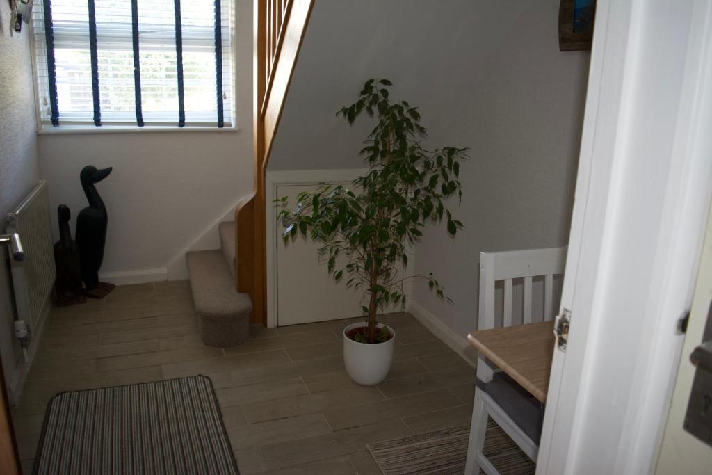 Fotografie z fotogalerie ubytování Coach House. Falcon Mews v destinaci Bude