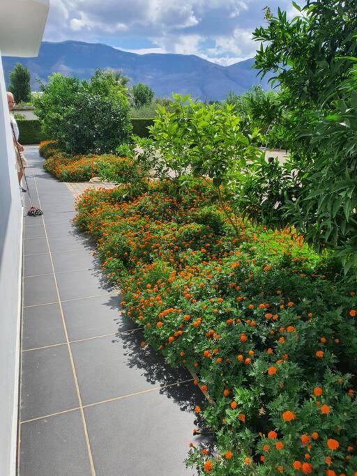 Apartment Valbona by Orikum Apartments - Image 9