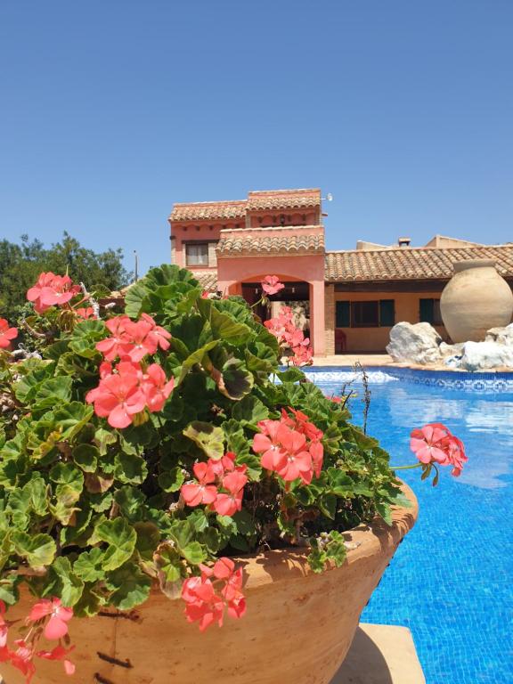 a pot of flowers next to a swimming pool at Masia La Candelera in L'Ametlla de Mar