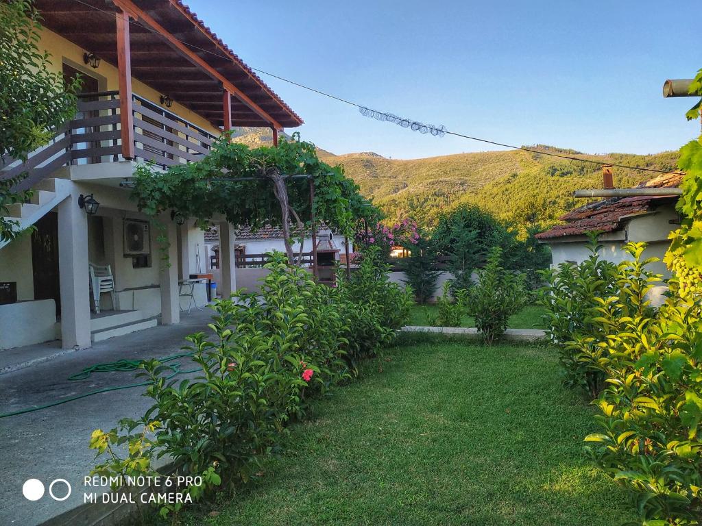 a view of the yard of a house at Poli's Ideal Holiday Home - Fully renovated ! in Rakhónion