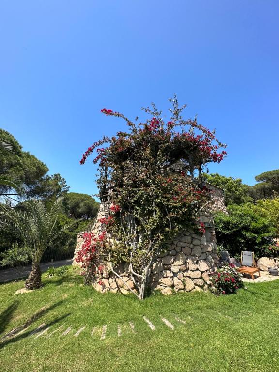 a stone wall with flowers on top of it at Hôtel Ambassador Palombaggia in Porto-Vecchio