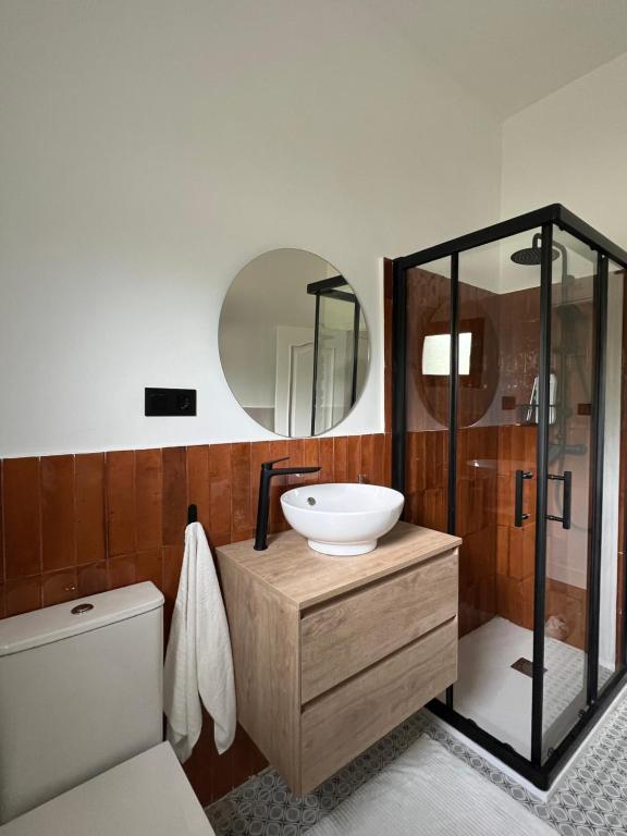 La salle de bains est pourvue d'un lavabo, de toilettes et d'un miroir. dans l'établissement Mountain View Apartment, à Mieres