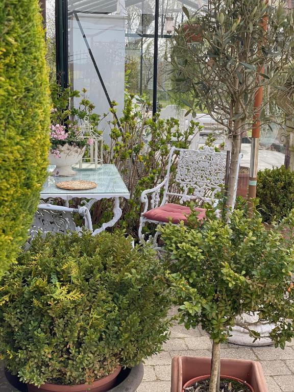 Giardino di Dobbeltværelse i smuk palævilla