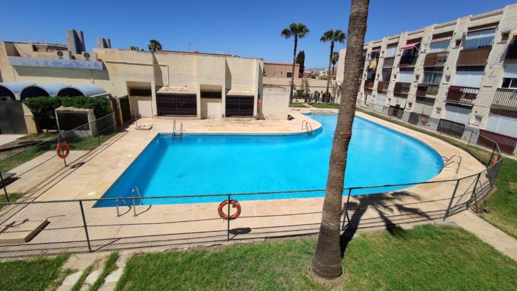a large swimming pool in a building with a palm tree at Apartamento en Costacabana in El Alquián