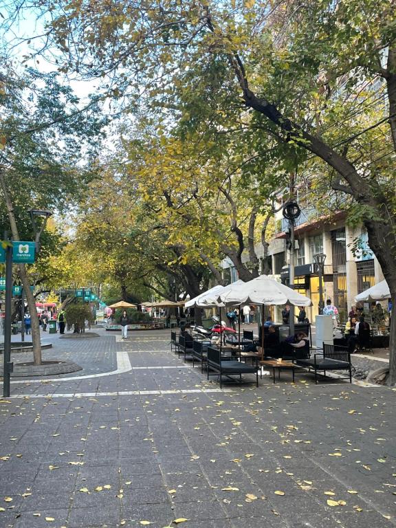 La Ciudad cuenta con un sector para mascotas en el Parque Central – Ciudad  de Mendoza