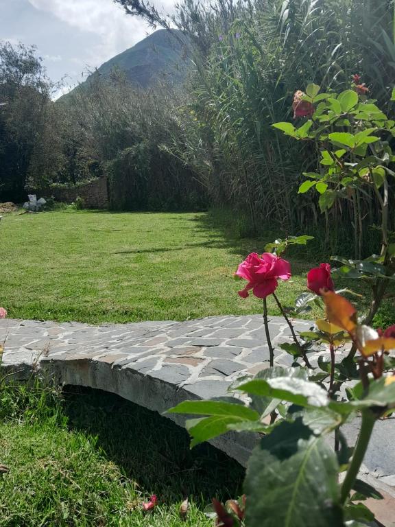 Zahrada ubytování Condominio La Curva