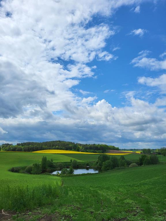 a green field with a river and a cloudy sky at Agroturystyka Pod Lipą in Małe Leżno