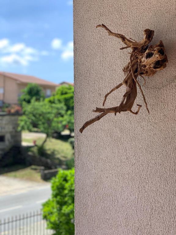 Fotografie z fotogalerie ubytování Casa Pedravedra v destinaci Mondim de Basto