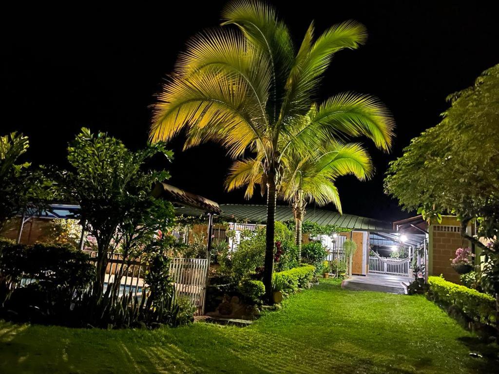 un patio con palmeras y una casa por la noche en villa vale Rivera Huila, en Rivera