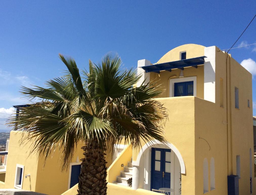 a palm tree in front of a building at Cultural House in Pyrgos