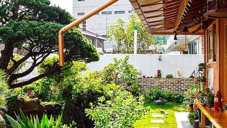 un patio trasero con un jardín con plantas y una casa en Beautiful Garden Fine Day House, en Jeonju