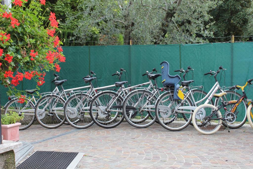 Jízda na kole v ubytování Hotel Angelini nebo okolí