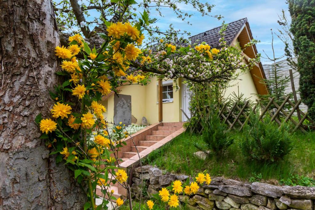 a house with yellow flowers on the side of a tree at Apartmánový dům Vilémovice in Vilémovice