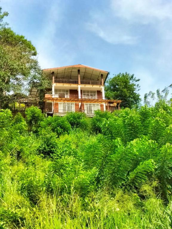 Zahrada ubytování Brisk Ella Retreat