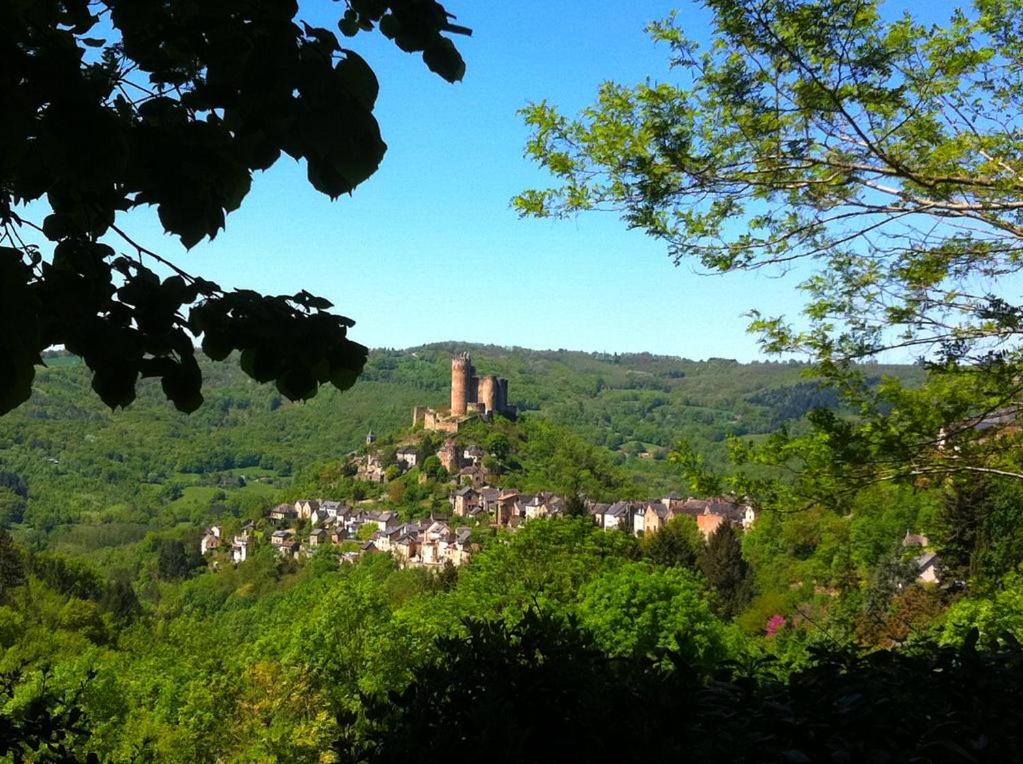 a castle on top of a hill with trees at Chambre d hôtes avec 2 petits déjeuners ou Gîte in Najac