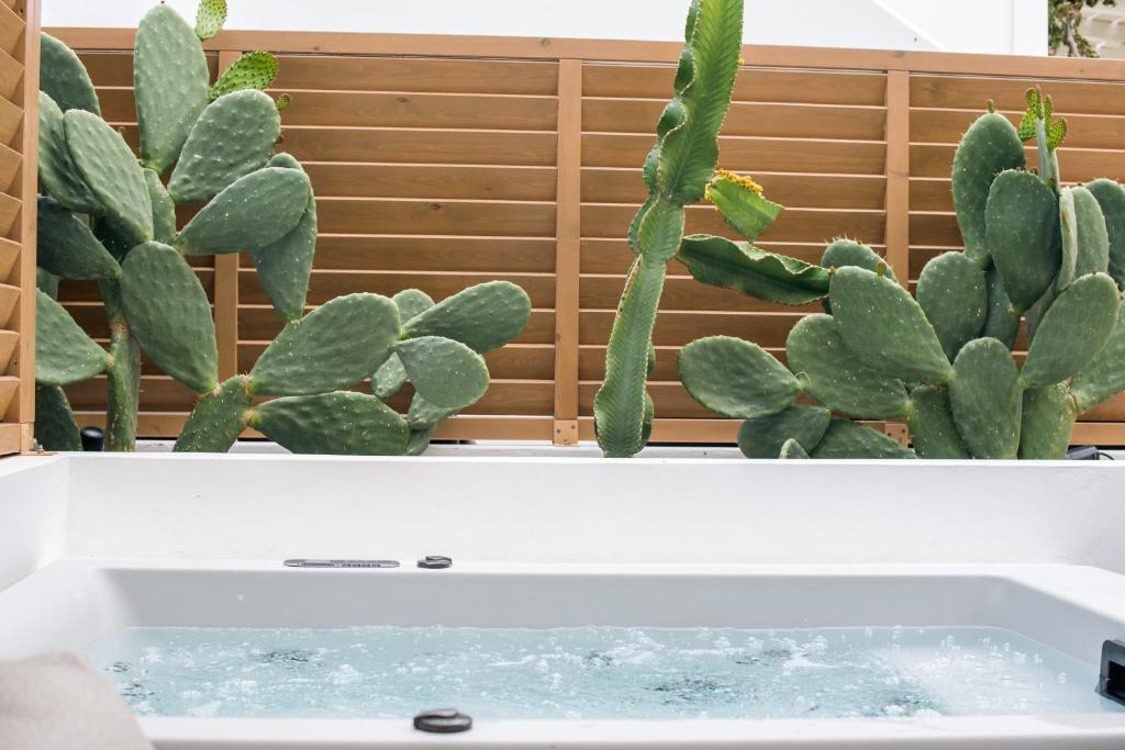 Fotografie z fotogalerie ubytování ABA Ηospitalité Paros -The Superior Suite, Naousa v destinaci Nausa