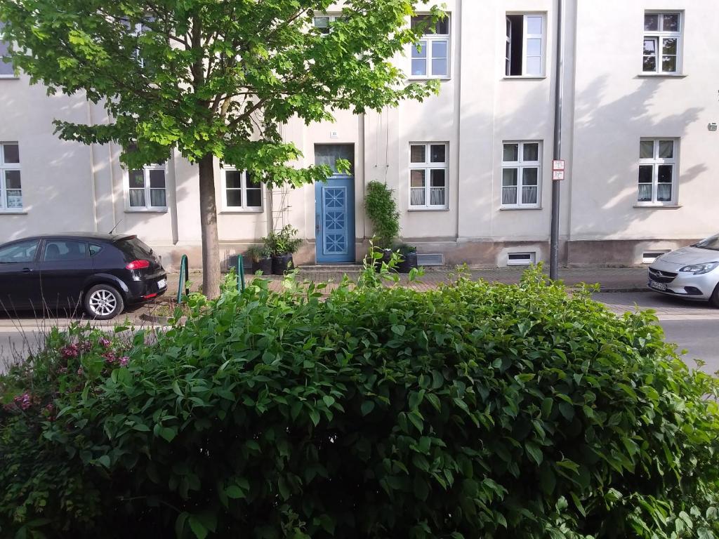 a large bush in front of a building at Pension-City-Kontor-Erfurt in Erfurt