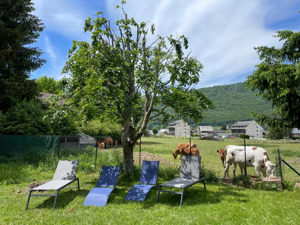 three chairs and a tree with cows in a field at La Petite Jeannette in Lans-en-Vercors