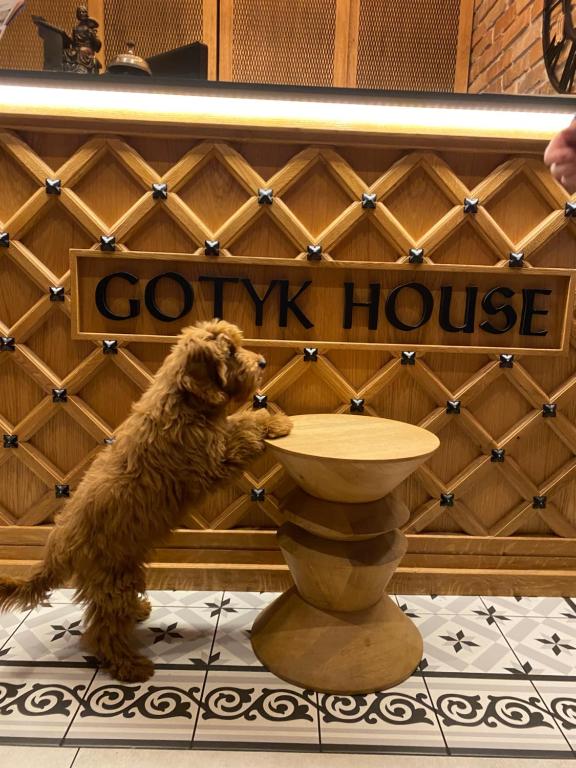 Gotyk House - Resim 23