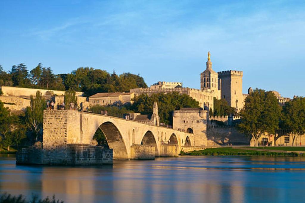 a bridge over a river in front of a city at Comfortable and welcoming apartment in Avignon in Avignon