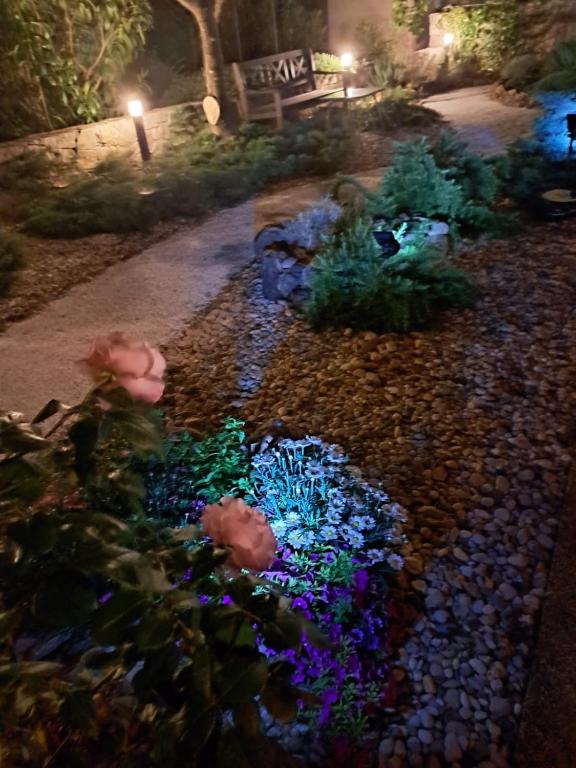 Zahrada ubytování Apartman BOR Krk