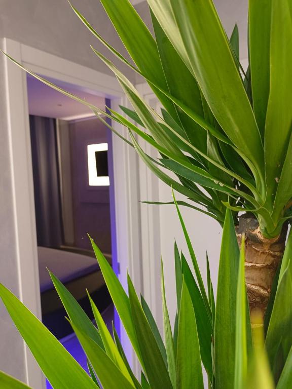 Zdjęcie z galerii obiektu Residence Deamarina w mieście Marina di Massa