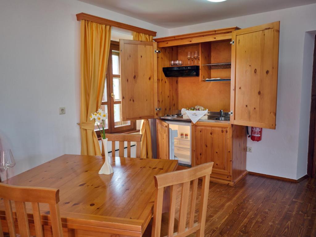 Kuchyň nebo kuchyňský kout v ubytování Wine Grower's Mansion Zlati Gric
