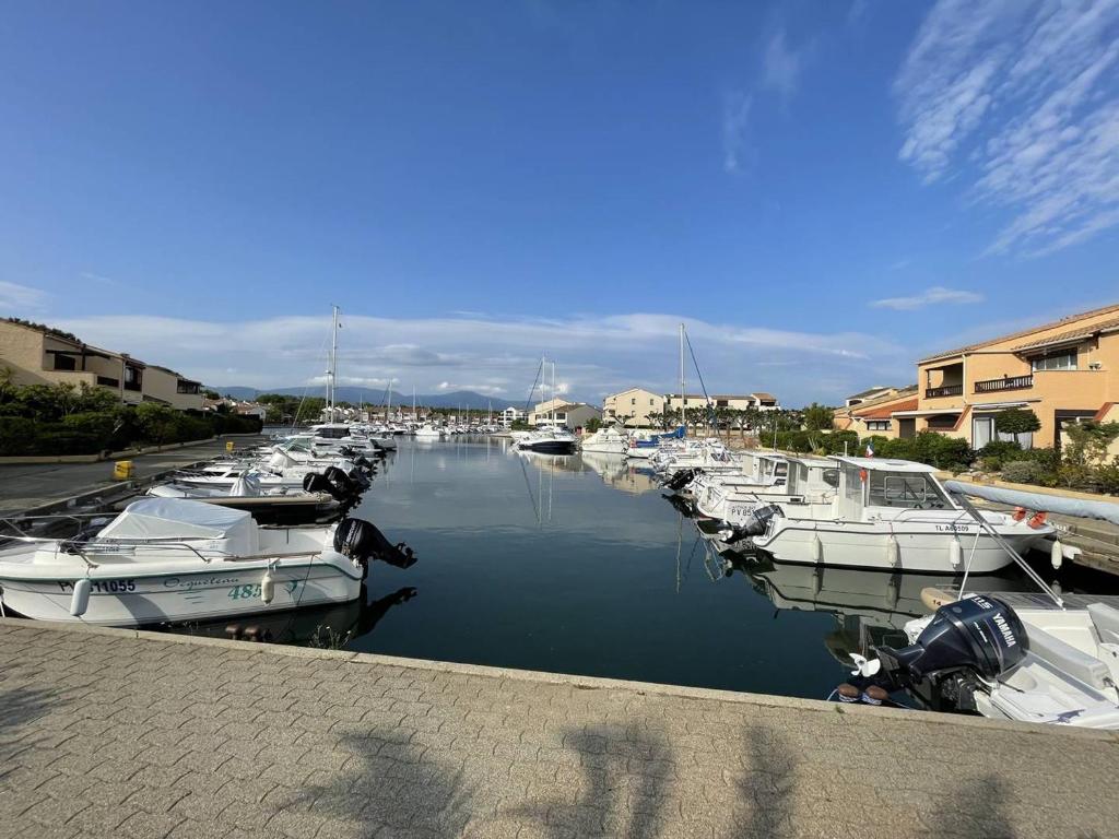 Kilka łodzi zakotwiczyło w przystani. w obiekcie T3 calme avec terrasse, clim et parking proche plage - FR-1-106-45 w mieście Saint-Cyprien