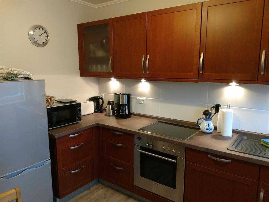 Kuchyň nebo kuchyňský kout v ubytování Birkenhaus, Ferienhaus