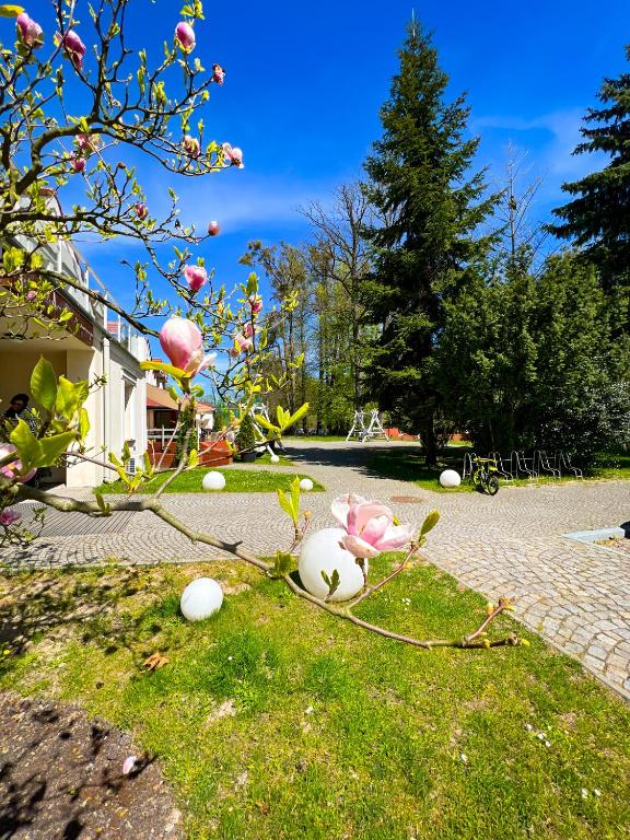 Zahrada ubytování Szafirowy Dwór Hotel & Restauracja