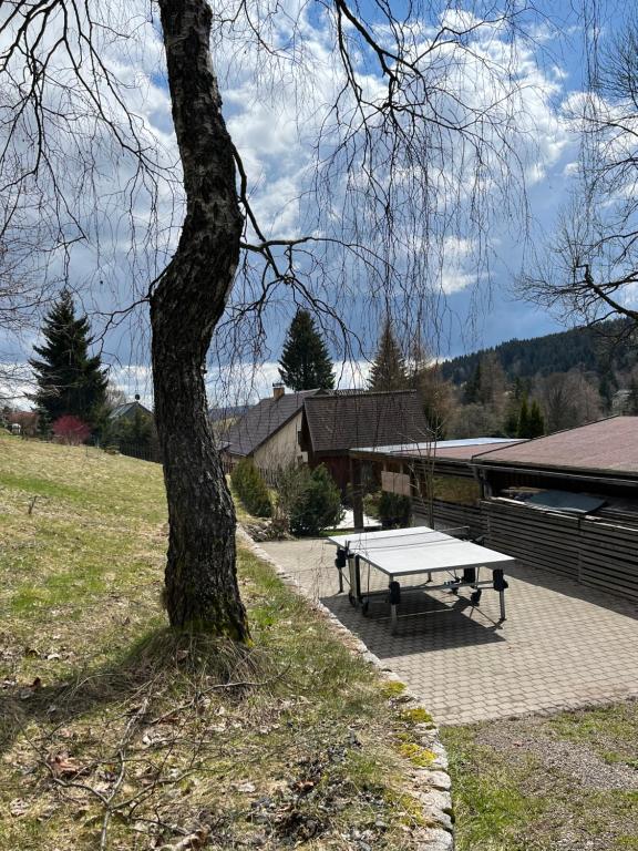 Příroda nedaleko apartmánu