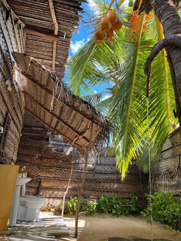 Windy Waves Beach Nature Resort & Kite School - 5