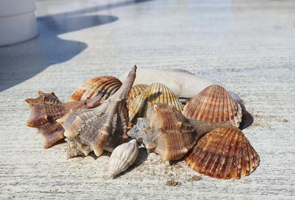 Fotografia z galérie ubytovania Appartamento Perla Marina v destinácii Sottomarina