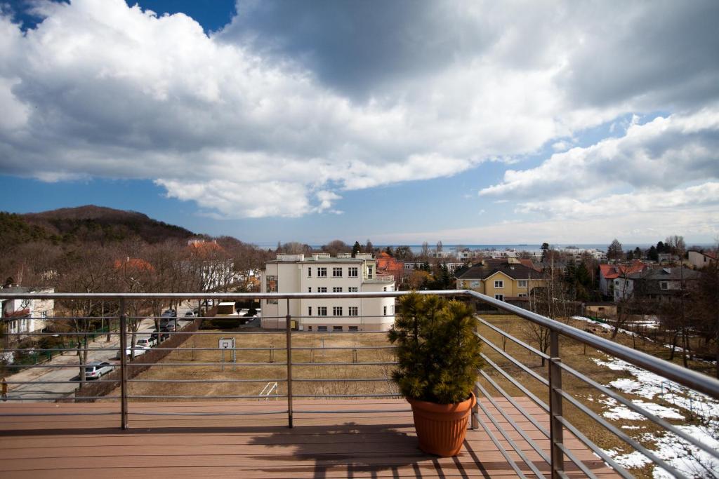 Příroda nedaleko hotelu