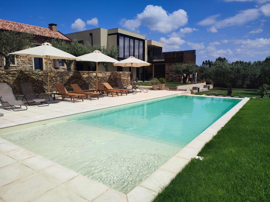 - une piscine dans une cour avec des chaises et des parasols dans l'établissement Raízes Turismo Rural, à Castelo Branco
