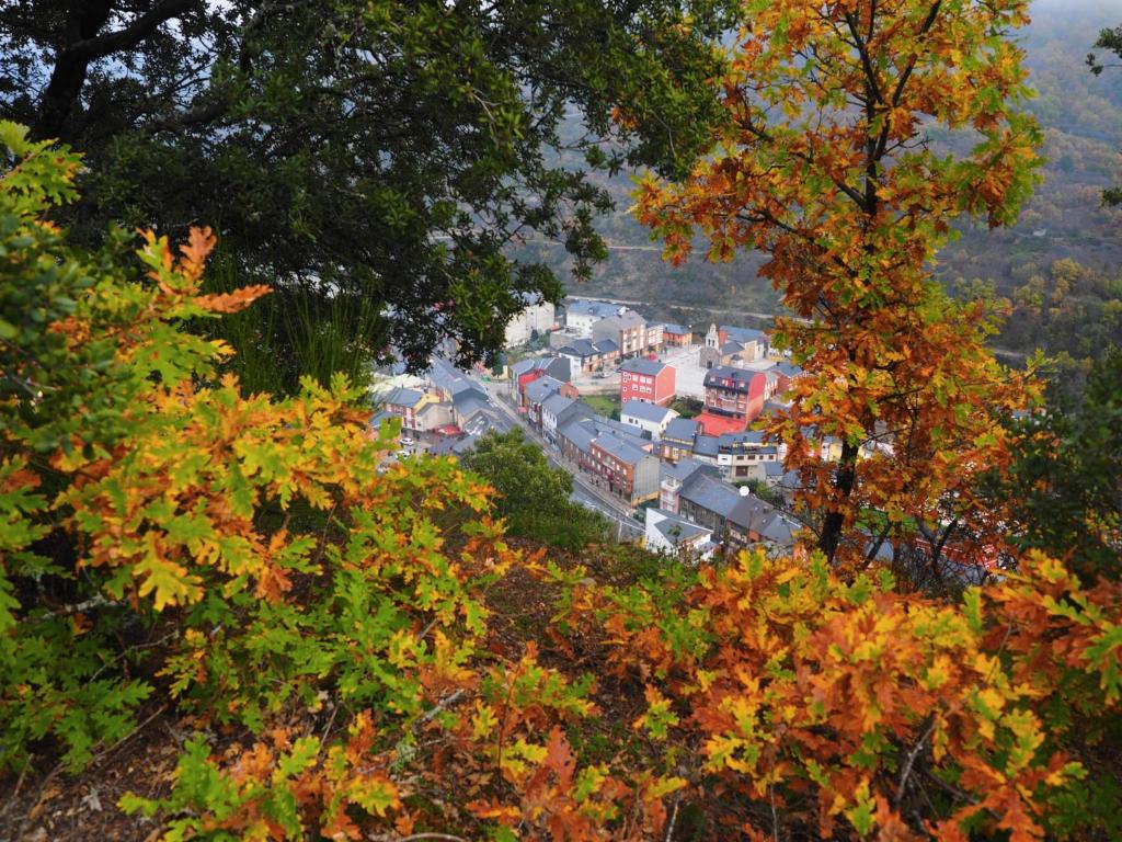 a view of a town in the middle of trees at Vivienda de Uso Turístico ABELLA in Matarrosa del Sil