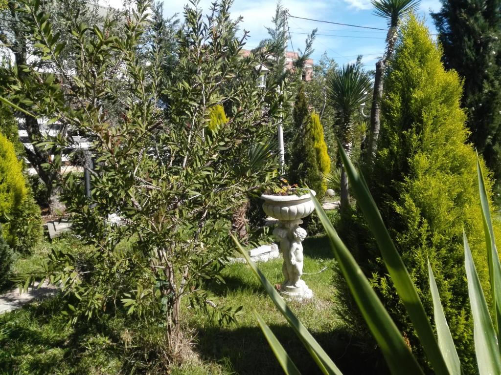 Arti Vila 2 - Image 9