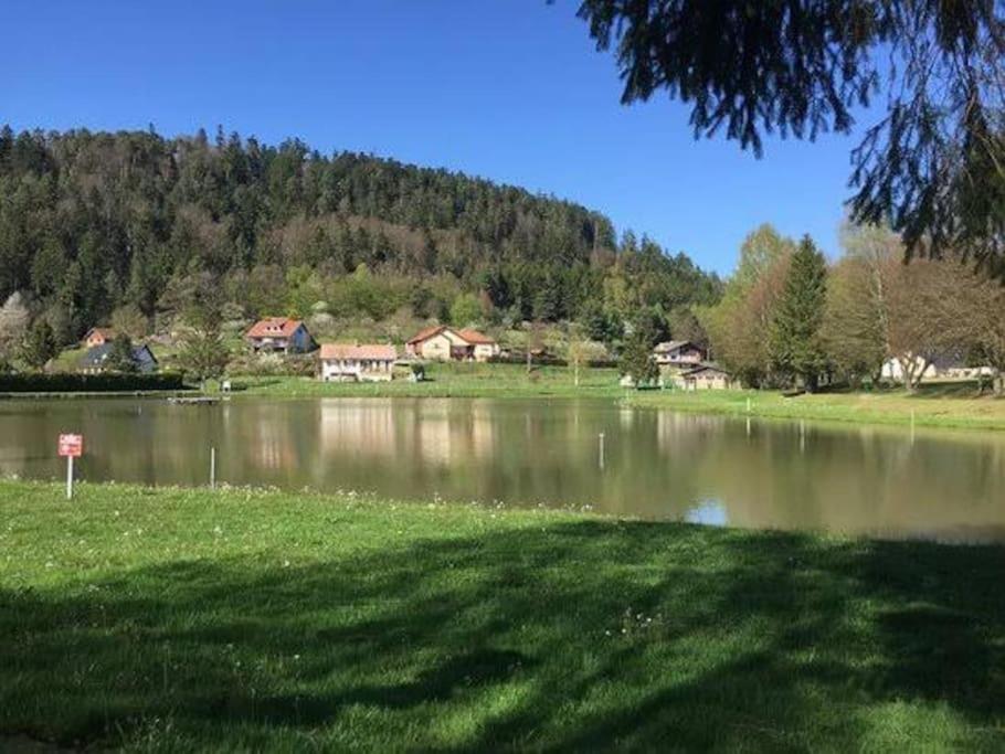 Holiday home Léonie, Walscheid, France