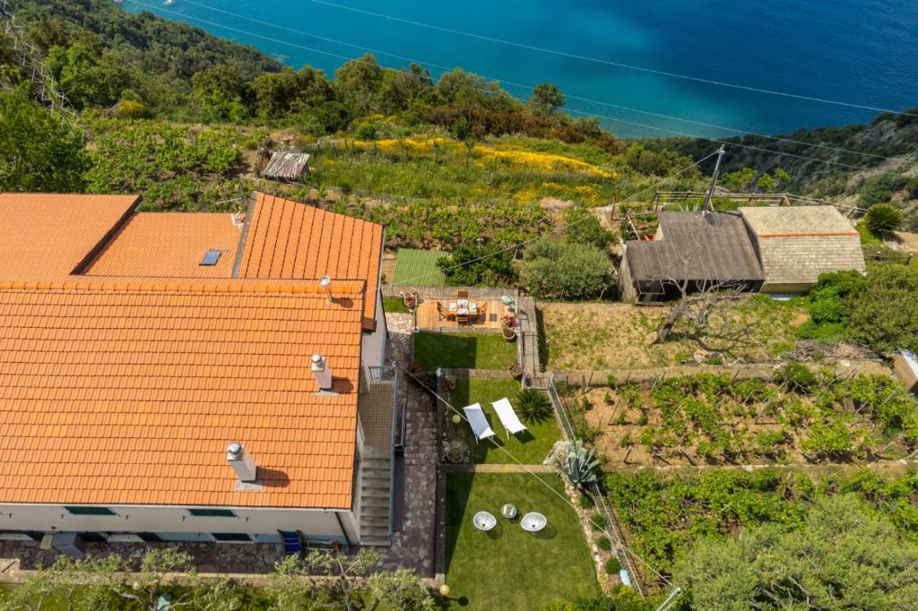 Příroda nedaleko apartmánu