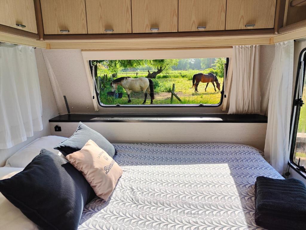 a bed in an rv with two horses in a field at La « Ravane » in Cysoing